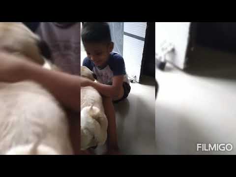 Shaurya mukku in fun mood😘🤗 #busybusy