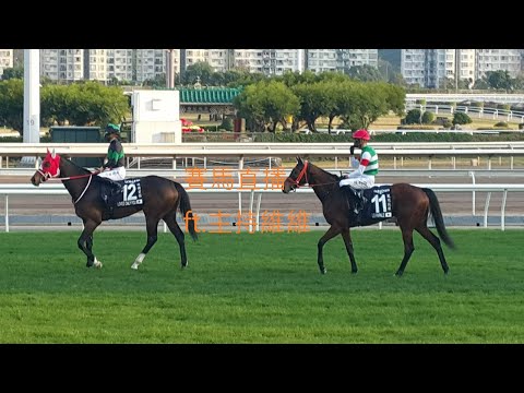 【香港賽馬】賽馬直播｜LIVE直播 2021-12-15 快活谷8場夜馬草地賽事｜後生維維頻道｜ft. 主持:維維
