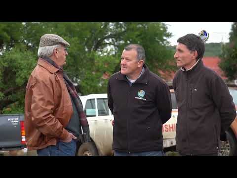 UTE inauguró nuevos servicios eléctricos en varias zonas rurales del departamento de Salto