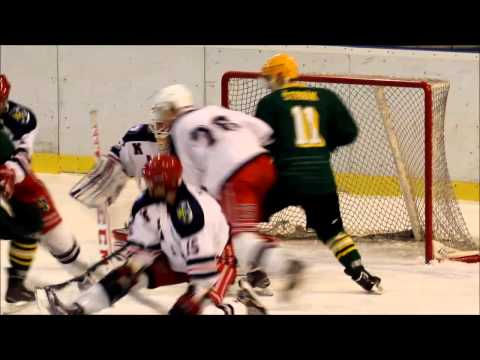 A-tým SK Karviná - VHK Vsetín  (17. 01. 2015, 3:1)