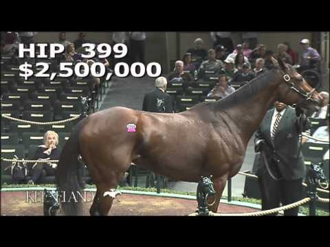 2015 November Breeding Stock Sale: Hip 399 - PHOTO CALL (IRE)