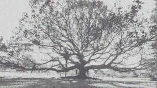 Video Flyer : Julianna Barwick at Sidecar (Barcelona) - 19th Nov 2012