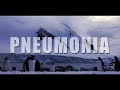 Björk - "Pneumonia" (Lyrics) - WKA DESIGNS Björk - "Pneumonia" (Lyrics)