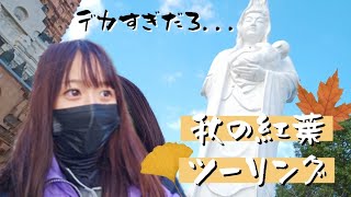 【ツーリング】秋の紅葉満喫してたらとんでもないもの見つけたんですけど【バイク女子】【モトブログ】