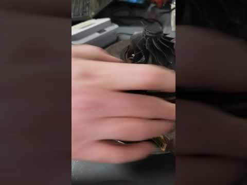 Banshee VGT controller testing ford 6.0 turbo