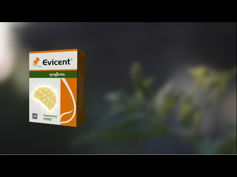 Vimeo Thumbnail