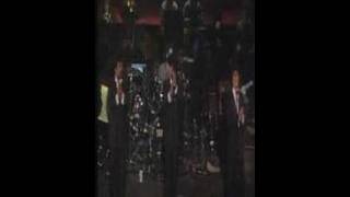 Soy un perro callejero