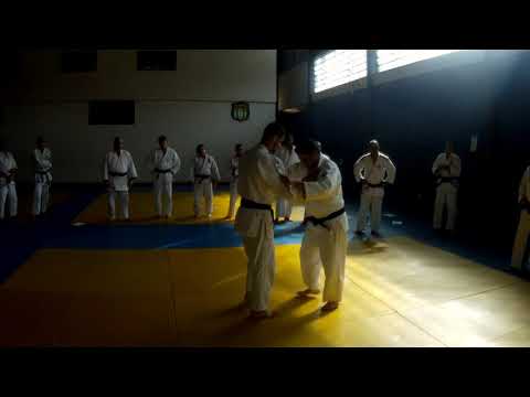 KAESHI WAZA KO UCHI GARI DE ASHI BARAI