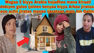 Download lagu 📌😢#manaa osoon hin  ijaraatin biyyaati hin Galinaa yoo manaa qabataa biyya keeti galitee waan mp3