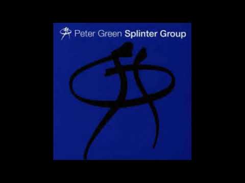 Peter Green Splinter Group