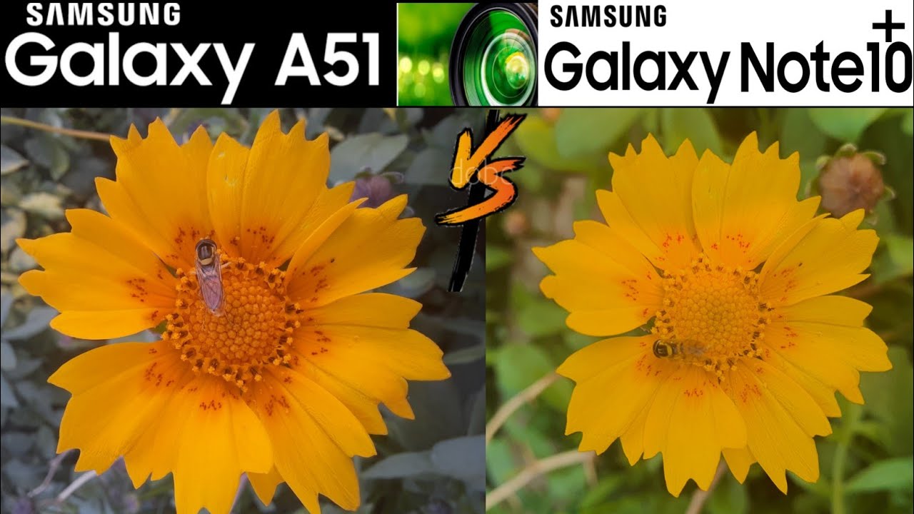 SAMSUNG GALAXY A51 VS SAMSUNG GALAXY NOTE 10 PLUS CAMERA COMPARISON 🔥| SHOCKING RESULT🤔🤔🧐