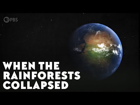 当雨林倒塌时(When the Rainforests Collapsed)