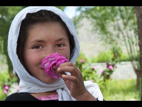 Provide Care for Afghanistan's Abandoned Children