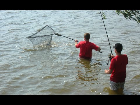 Goana după crap - Ep. 48 - Cele mai frecvente greșeli pe care le fac pescarii (partea I)