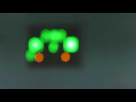 15 КУ 2 лига1/8 5 8 Основа М – Cykoria