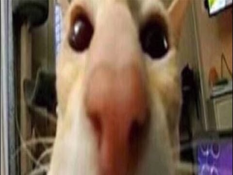 Unregistered HyperCam 2