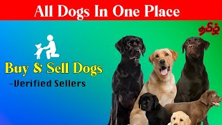 Dogs Buying & Selling Now Easy In TamilNadu