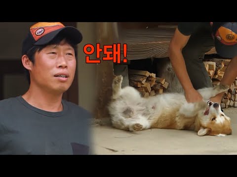 레전드 장면
