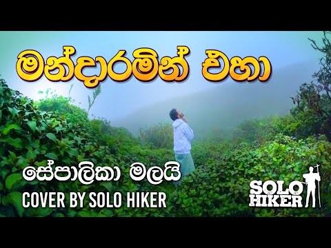 සේපාලිකා මලයි Cover By Solo Hiker | sepalika Malai | මන්දාරමින් එහා | Sinhala Cover Song | SoloHiker