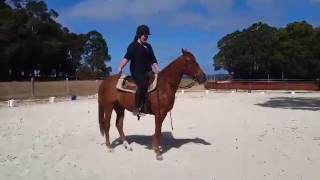 Maytown Phantom is Backed!