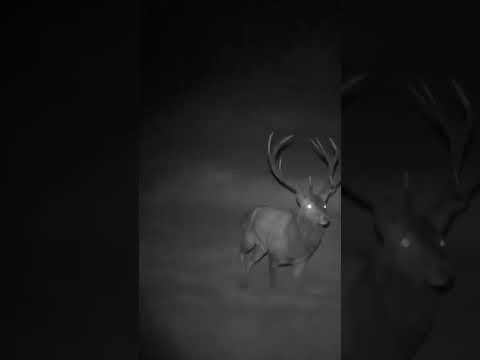 W najnowszym odcinku programu Darz Bór!