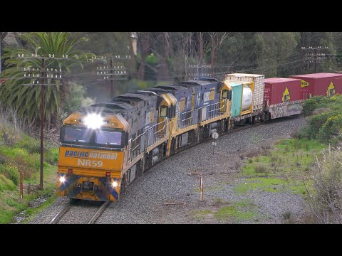 The Overland | Pacific National 2PM5 | 7731V Grain Train | September 5th, 2024