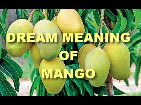 Spiritual Dream Meaning of Mango