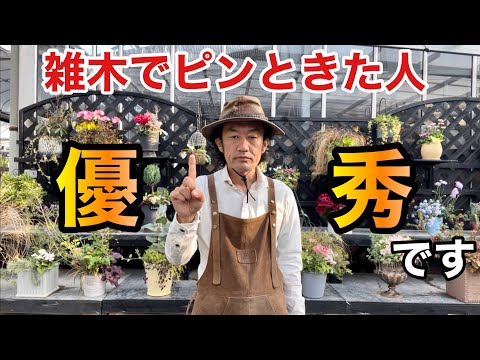 鉢植えの常緑樹 - 季節を問わずエクステリアを美しくするために採用すべきトップ 5 樹種  庭園