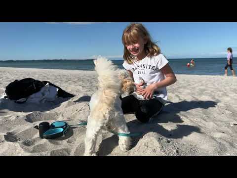 Ausflug zu einem Naturstrand bei Juliusruh Rügen Juli 2022