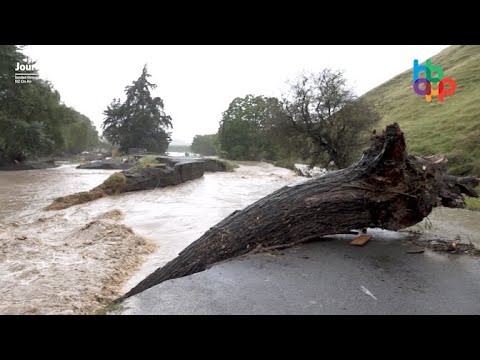 Hawke's Bay App - Springfield Road, Taradale.