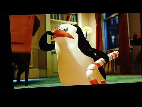 Penguins Vs. Mr. Chew