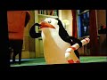 Penguins Vs Mr Chew