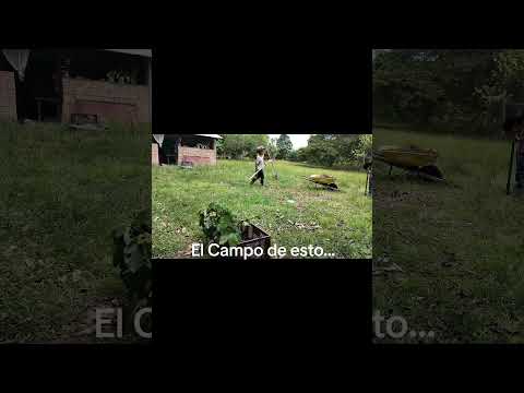 Agropecuarios de cepa, Monterrey Casanare Colombia, familia Beekeeper