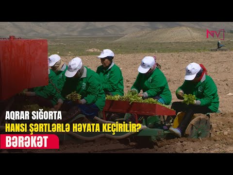 BƏRƏKƏT 23.09.2025