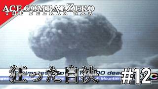 [実況]【ace combat zero】追い込まれた末路 #12