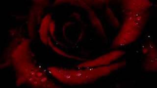 Inkubus Sukkubus -- Love Spell