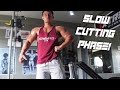 SLOWLY LOWERING THE CALORIES | SLOW CUTTING PHASE | SHOULDER DAY