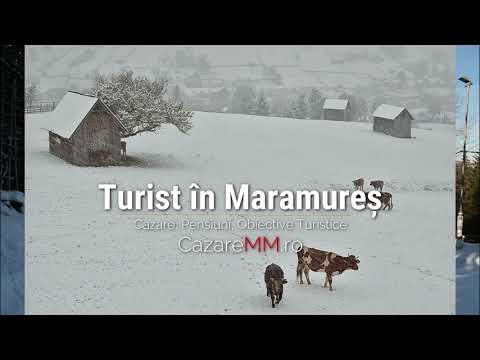 Vadul Izei Maramures, Valea Izei Pensiuni, Pensiune Barsana