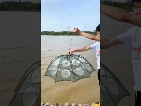 Foldable fishing umbrella net trap fishing gear and tools #fishing #fishinggear#fishingtackle #fish