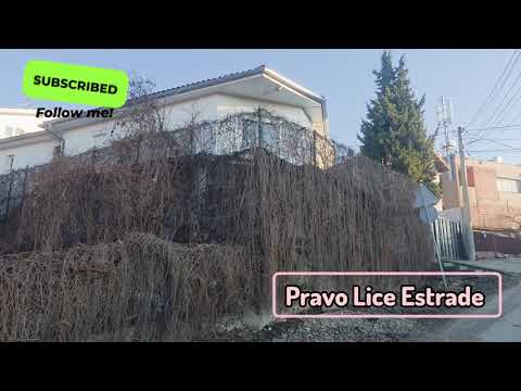 OTKRIVAMO STA SE DESAVA SA ZORICOM MARKOVIĆ POSLE IZLASKA IZ ELITE