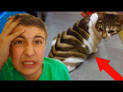 THE MOST *UNSATISFYING* VIDEO YOU WILL EVER SEE !