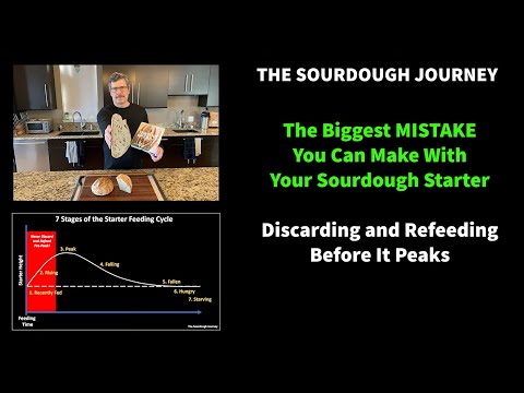The BIGGEST MISTAKE You Can Make With Your Sourdough Starter: Premature Discarding!