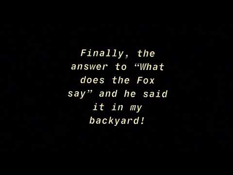 Fox alarm barking at night