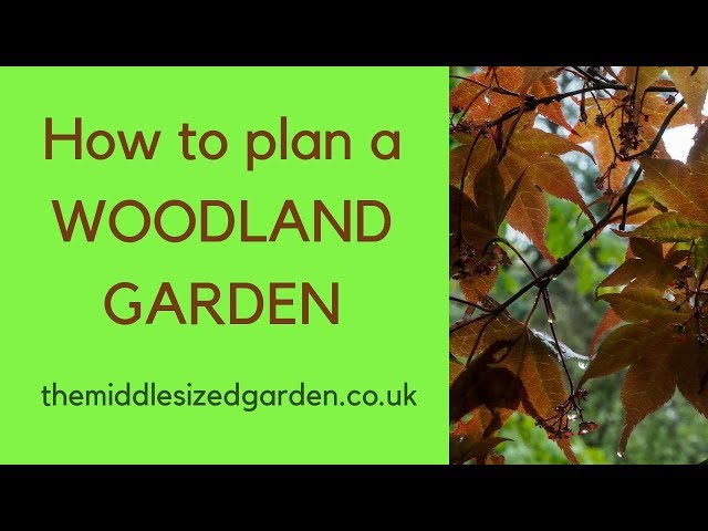 Výslovnost videa woodland v Anglický