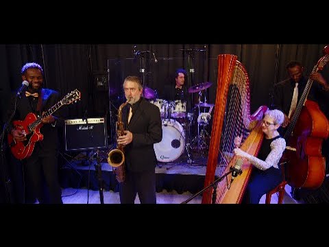 Promotional video thumbnail 3 for The Elegant Harp