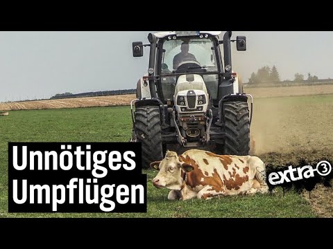 Realer Irrsinn: Weide muss sich vom Acker machen | extra 3 | NDR