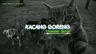 Download lagu 🍊 LAGU PESTA ACARA TERBARU ||KACANG GORENG x TRUMPET GETAR || VIGO PERMATA- mp3 Download lagu 🍊 LAGU PESTA ACARA TERBARU ||KACANG GORENG x TRUMPET GETAR || VIGO PERMATA- mp3