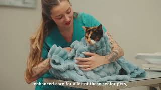 Das Geheimnis einer Mutter für weichen Komfort nach einem langen Tag 4-Bedsure GentleSoft®