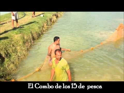 El Combo de los 15 de Pesca Escena completa sin Edicion