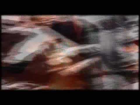 Matika & Troya ( Falsa Fe )